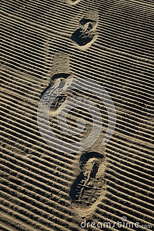 Vertical shot shoeprints on the sand Stock Photo