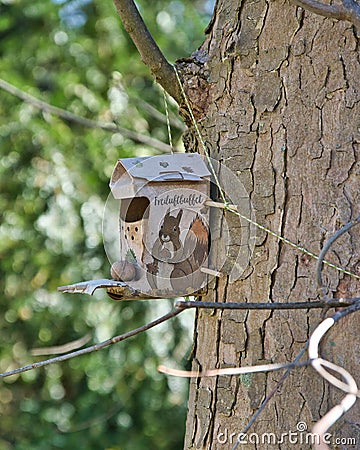 Vertical shot of a Squirrel feeder hanging on a tree Stock Photo