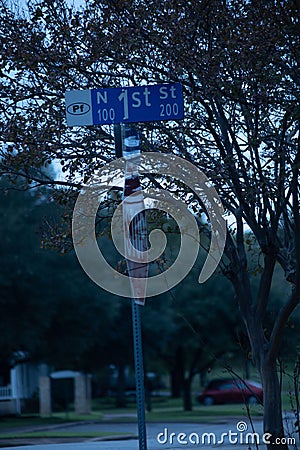 Vertical shot of the 1st street sign by a tree in Pflugerville, Texas Stock Photo