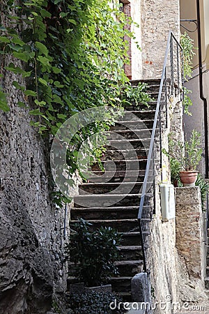 Vertical shot of stairs, green vines on the white wall and two plant pots Stock Photo