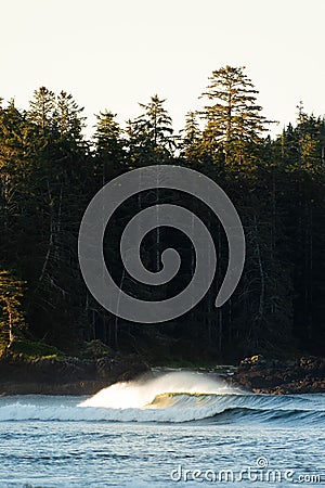 Vertical shot of waves on a remote coastal beach in British Columbia Stock Photo