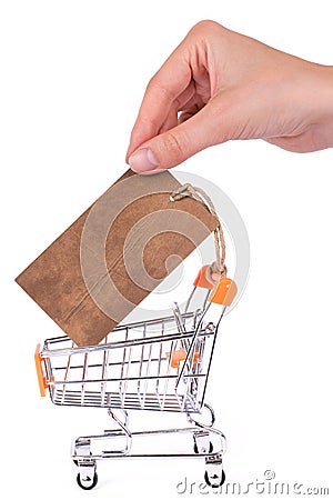 Vertical side profile close up view photo of woman`s hand arm taking pricetag from empty cart isolated on white background copysp Stock Photo