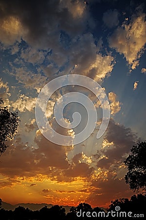 Vertical Sunset Image Stock Photo