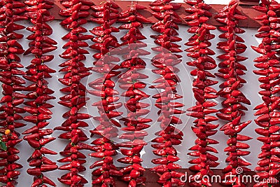 Vertical threads with red hot peppers Stock Photo