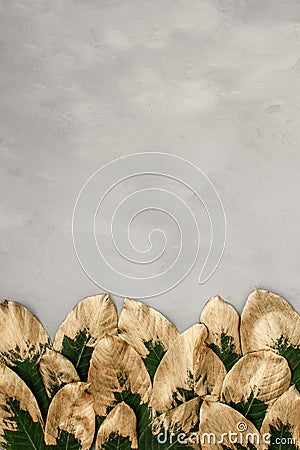 Vertical trend Creative nature background. Gold and green painted leaves on gray concrete background. Minimal natural frame copy Stock Photo