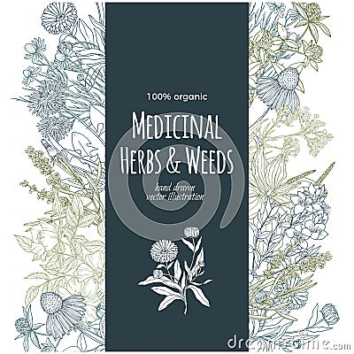 Vertical turquoise banner with color medicinal herbs and flowers Vector Illustration