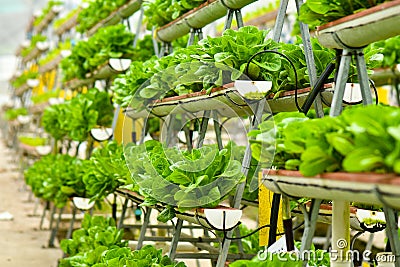 Urban farming technology Stock Photo