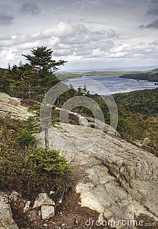 Vertical View from Bubble Rock in Acadia, Maine Stock Photo