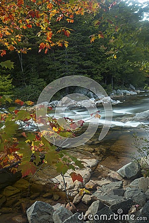 Vertical view of foliage and Swift River rapids, New Hampshire. Stock Photo