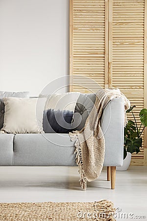 Vertical view of living room with grey sofa and beige carpet Stock Photo