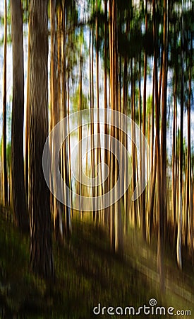 Vertical vivid motion tree landscape with light leak abstraction Stock Photo