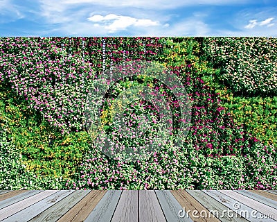 Vertical wall garden Stock Photo