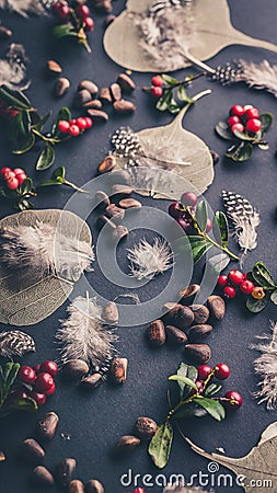 Vertical Wild forest banner. Dry leaves, lingonberry berries, pine nuts, quail feathers on a black background Stock Photo