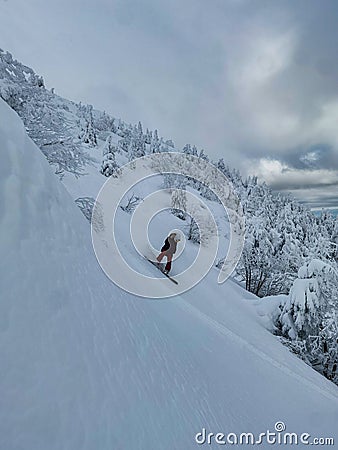 VERTICAL: Young woman shreds fresh powder while snowboarding in backcountry. Stock Photo