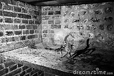 Very ancient bottles of wine lies in retro dark cellar Stock Photo