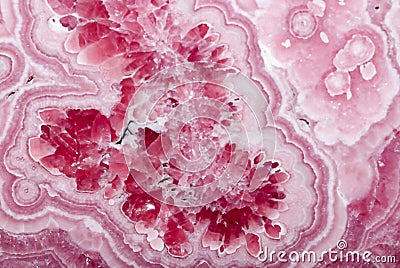 Rhodochrosite rose-colored mineral, Close up. Stock Photo