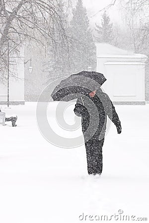 Very bad weather in a city in winter: heavy snowfall and blizzard. Male pedestrian hiding from the snow under umbrella, vertical Stock Photo