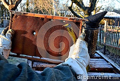 Very bad winter, a lot of hives this winter and died. frozen honeycombs and hives covered with hoarfrost. The beehives in the gard Stock Photo