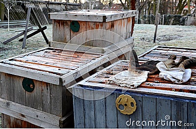 Very bad winter, a lot of hives this winter and died. frozen honeycombs and hives covered with hoarfrost. The beehives in the gard Stock Photo