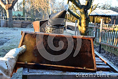 Very bad winter, a lot of hives this winter and died. frozen honeycombs and hives covered with hoarfrost. The beehives in the gard Stock Photo