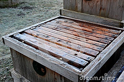 Very bad winter, a lot of hives this winter and died. frozen honeycombs and hives covered with hoarfrost. The beehives in the gard Stock Photo