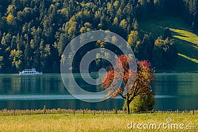 Beautiful Lake view with ship in Switzerland in the middle of autumn Stock Photo