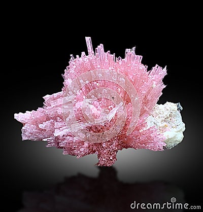 very beautiful cluster bunch of pink tourmaline crystals Mineral specimenf rom skardu Pakistan Stock Photo