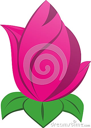 Very beautiful pink lotus Stock Photo