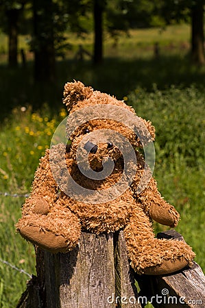 Very cute teddybear sitting on the fence Stock Photo