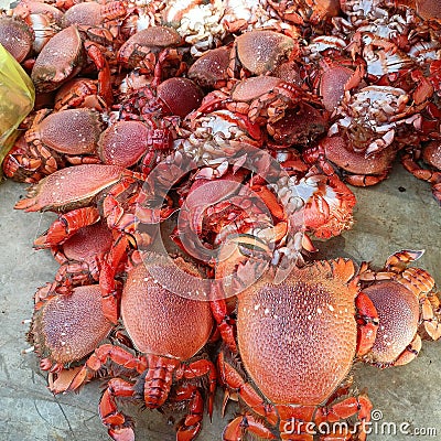 Very Delicious Deep Sea Crabs Stock Photo