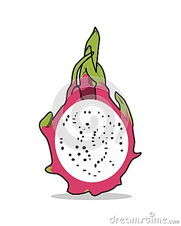 very delicious dragon fruit illustration on white background Cartoon Illustration