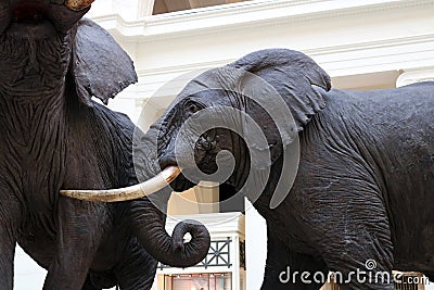 Elephant statue at museum of science Editorial Stock Photo