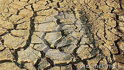 Drought cracked pond wetland, swamp drying up soil crust earth climate change, surface extreme heat wave caused crisis, Stock Photo