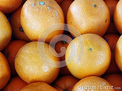 very fresh pile of yellow oranges Stock Photo