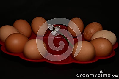 the very happy easter.beautiful holiday,easter egg. Stock Photo