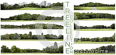 Very high definition Treeline collection isolated on a white background Stock Photo