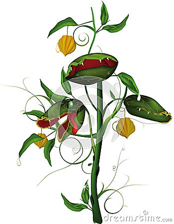 Very hungry predatory flower Vector Illustration