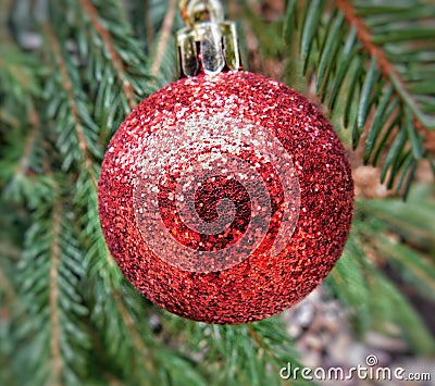 Very nice Red glitter decoration on the christmas tree Stock Photo