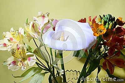 The very nice bouguet from the spring flower close up Stock Photo