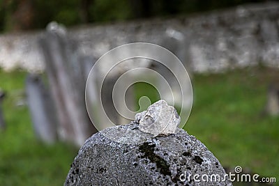 Very old abandoned Jewish cemetery Stock Photo
