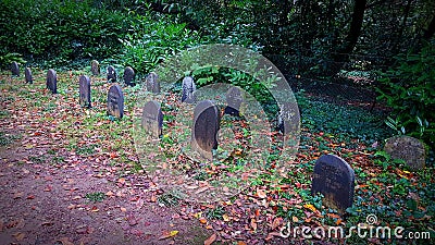 Very old Pet cemetery Cornwall Stock Photo