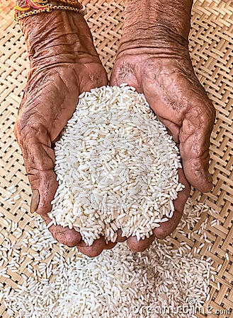 Very old senior woman hands wrinkled skin with rice Stock Photo