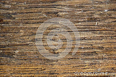 Old textered wooden surface background Stock Photo