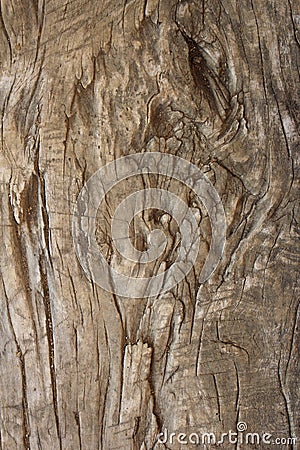 Very old textured poplar piece of wood Stock Photo