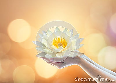 Vesak day, Buddhist lent day, Buddha`s birthday, Purnima buddhism religious worshiping, and world human spirit concept with woman Stock Photo