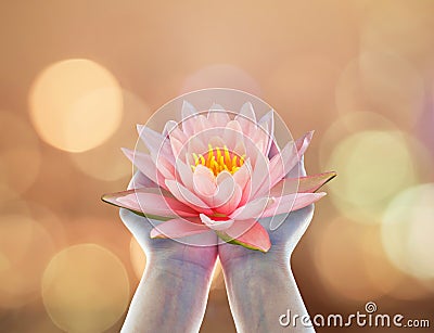 Vesak day, Buddhist lent day, Buddha`s birthday worshiping concept with woman`s hands holding water Lilly or lotus flower Stock Photo