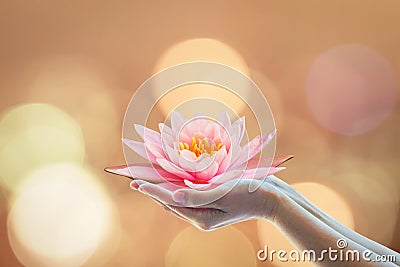 Vesak day, Buddhist lent day, Buddha`s birthday worshiping concept with woman`s hands holding water lilly or lotus flower Stock Photo