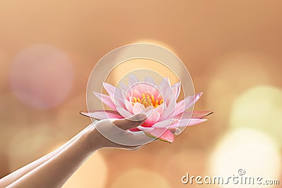 Vesak day, Buddhist lent day, Buddha`s birthday worshiping concept with woman`s hands holding water lilly or lotus flower Stock Photo