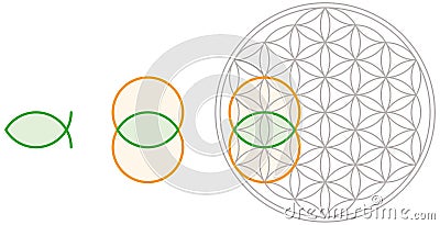 Vesica Piscis in Flower of Life Vector Illustration