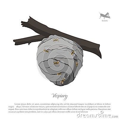 Vespiary drawing. Wasp hive on a branch. Residence flying insect Vector Illustration